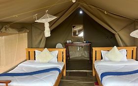 Mara Sunset Camp